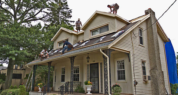 Best Local Roofing Companies  in Johnstown, NY
